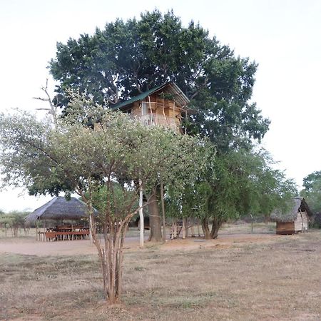 Yala Dream Park Hotel Kültér fotó