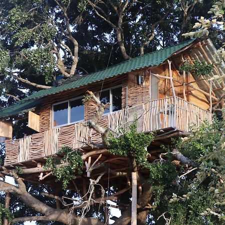 Yala Dream Park Hotel Kültér fotó