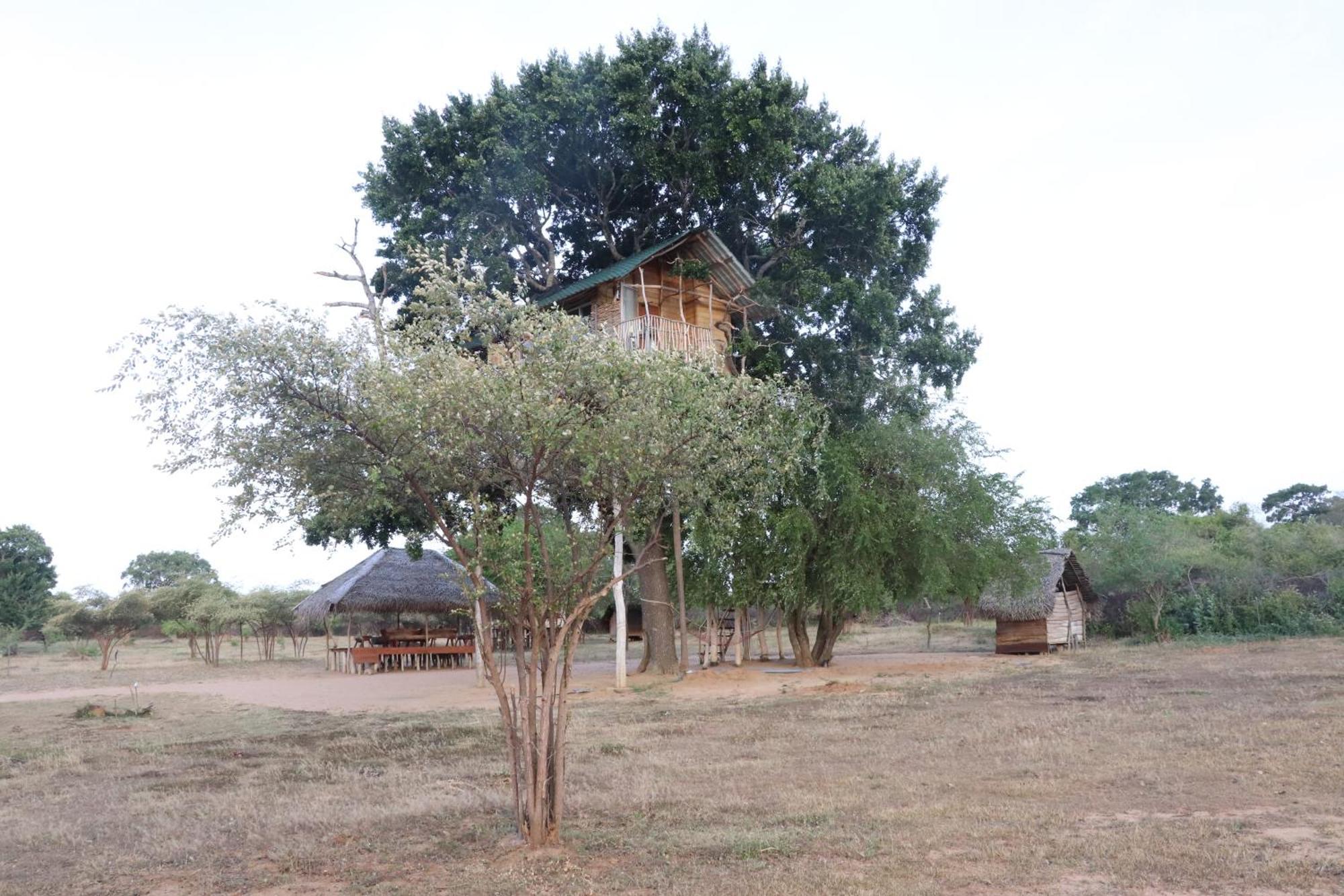 Yala Dream Park Hotel Kültér fotó