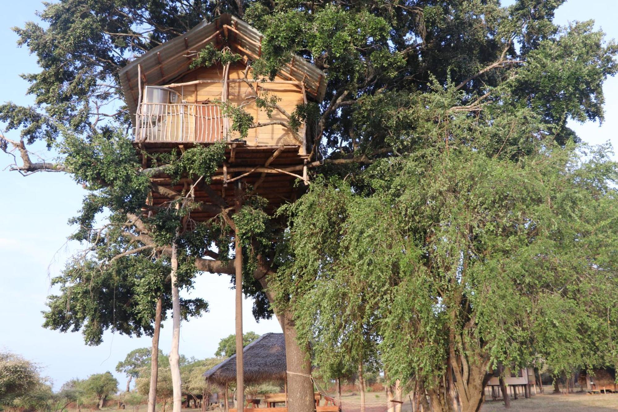 Yala Dream Park Hotel Kültér fotó
