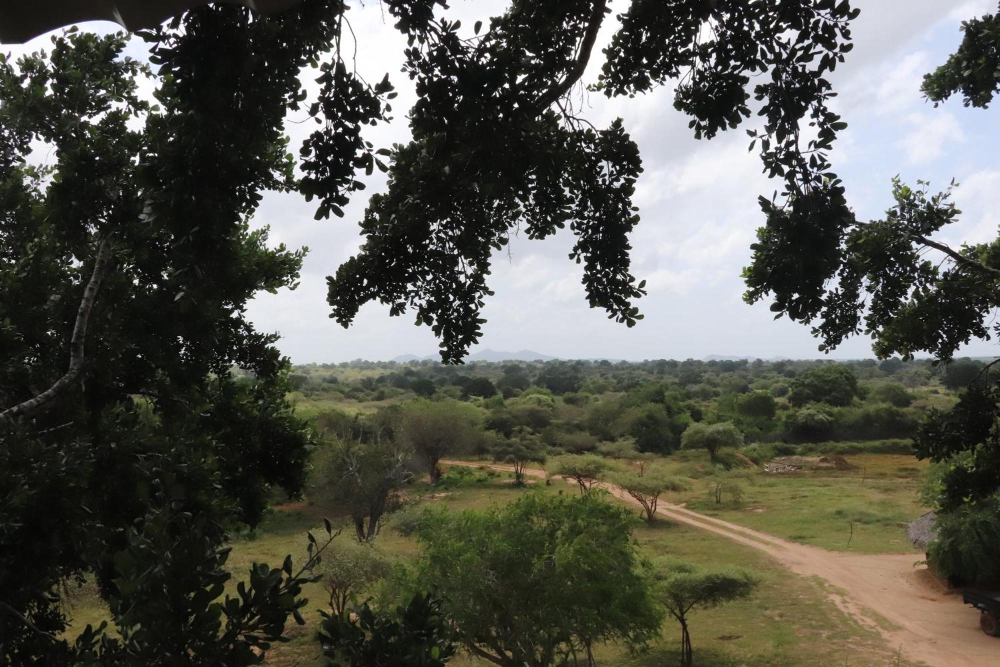 Yala Dream Park Hotel Kültér fotó