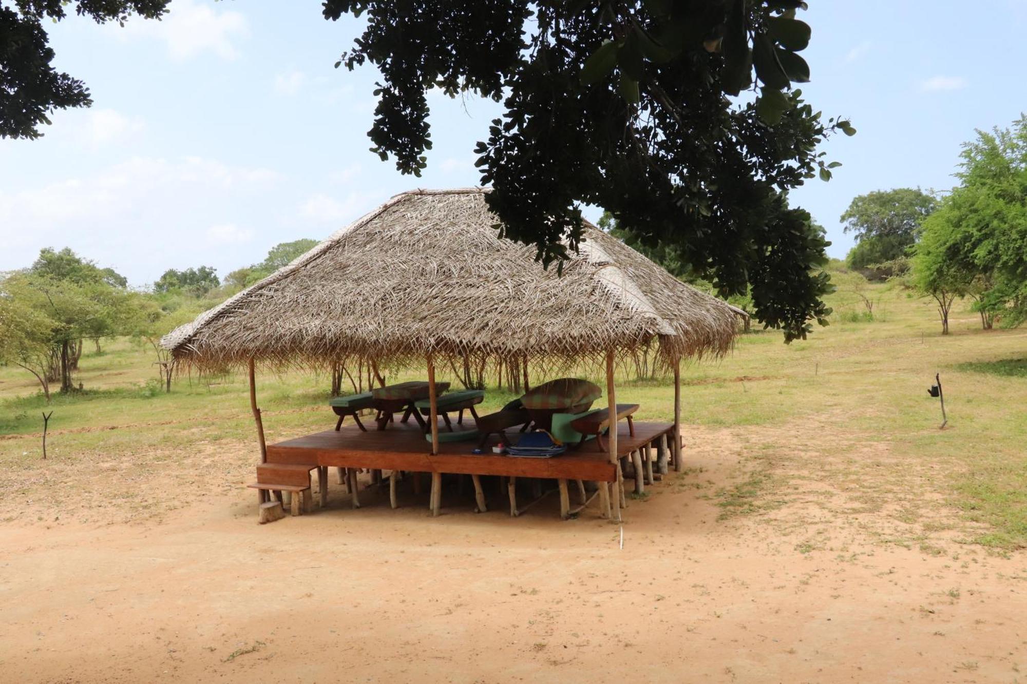 Yala Dream Park Hotel Kültér fotó