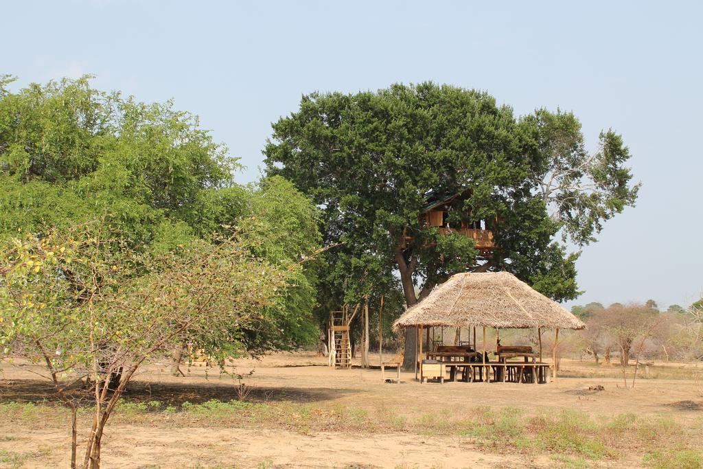 Yala Dream Park Hotel Kültér fotó