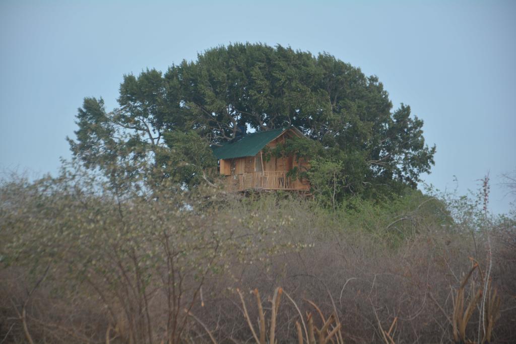 Yala Dream Park Hotel Kültér fotó