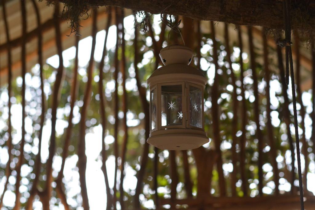 Yala Dream Park Hotel Kültér fotó