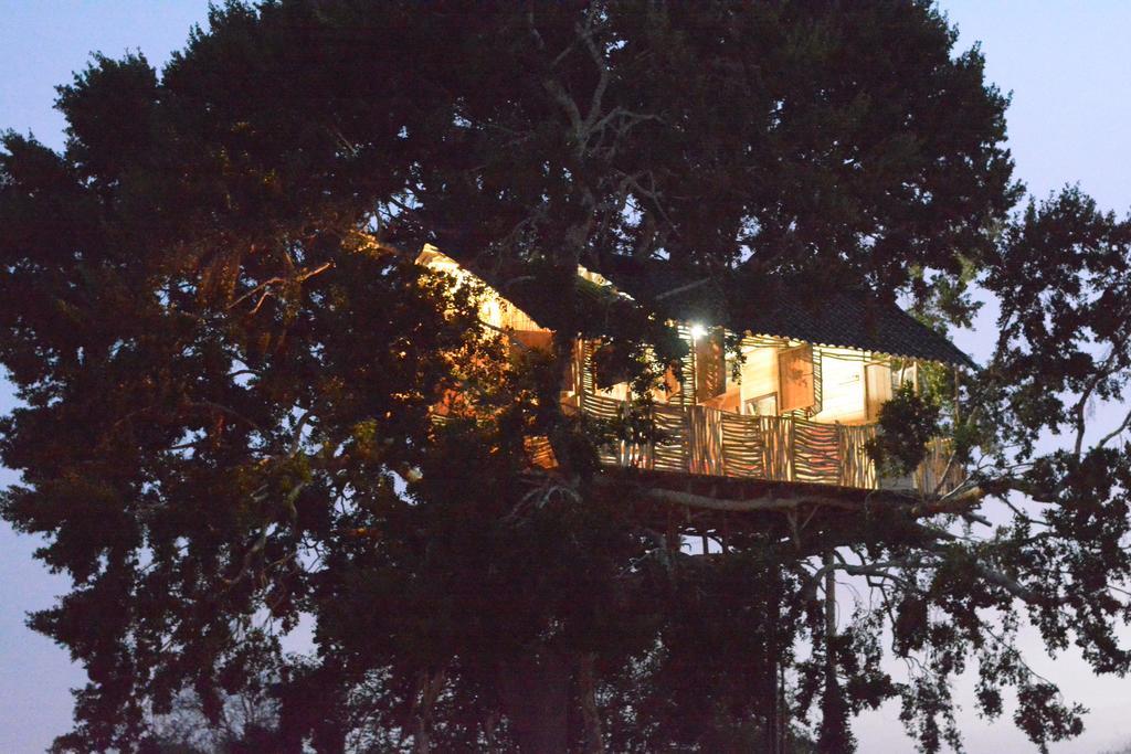 Yala Dream Park Hotel Kültér fotó