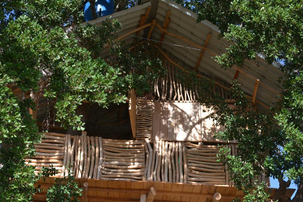 Yala Dream Park Hotel Kültér fotó