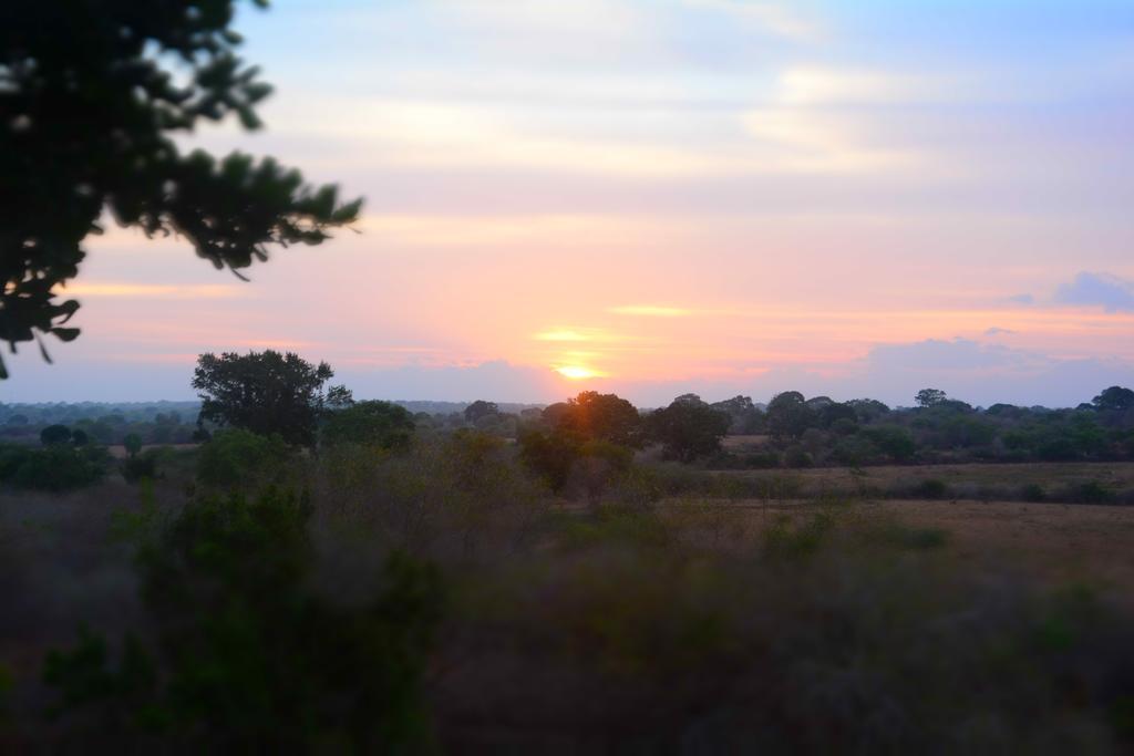 Yala Dream Park Hotel Kültér fotó