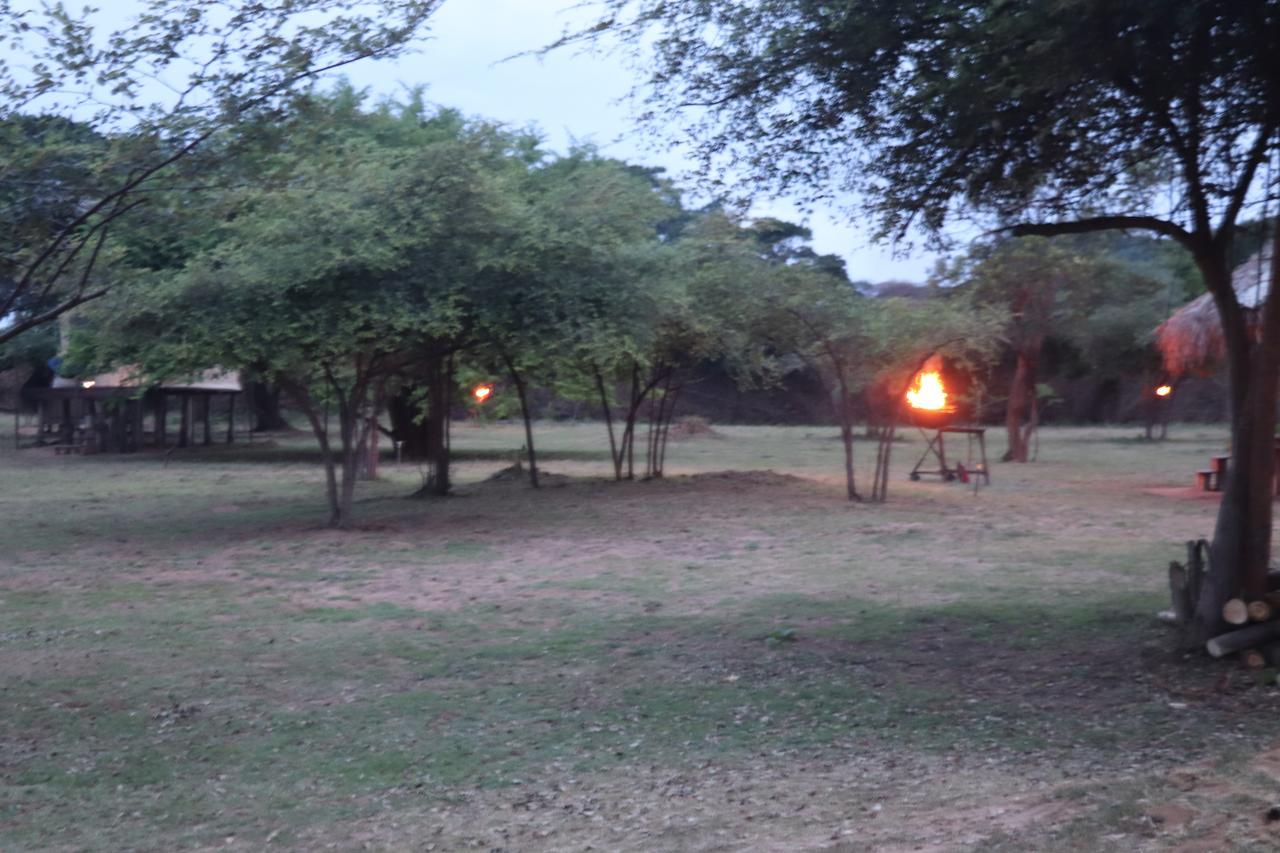 Yala Dream Park Hotel Kültér fotó