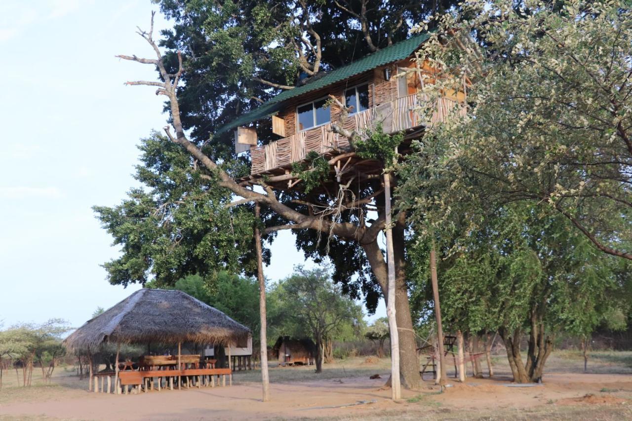 Yala Dream Park Hotel Kültér fotó