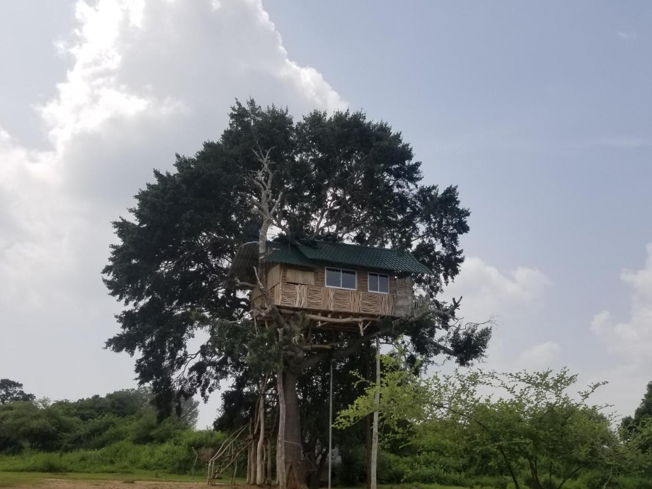 Yala Dream Park Hotel Kültér fotó